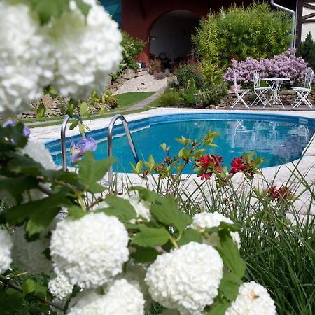 Lichtenstein Lva Apartman Břeclav Exteriér fotografie